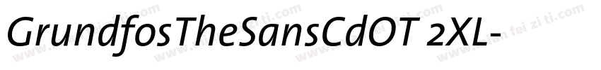 GrundfosTheSansCdOT 2XL字体转换